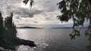./images/koeye/fitz-hugh/20251002/fitz-hugh20251002_154501M.jpg