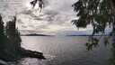 ./images/koeye/fitz-hugh/20251002/fitz-hugh20251002_155001M.jpg