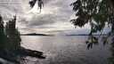 ./images/koeye/fitz-hugh/20251002/fitz-hugh20251002_160501M.jpg