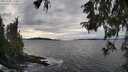 ./images/koeye/fitz-hugh/20251002/fitz-hugh20251002_162501M.jpg
