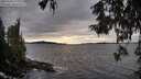 ./images/koeye/fitz-hugh/20251002/fitz-hugh20251002_172501M.jpg