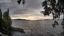 ./images/koeye/fitz-hugh/20251002/fitz-hugh20251002_173001M.jpg