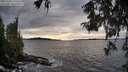 ./images/koeye/fitz-hugh/20251002/fitz-hugh20251002_173501M.jpg