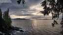 ./images/koeye/fitz-hugh/20251002/fitz-hugh20251002_180501M.jpg