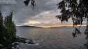 ./images/koeye/fitz-hugh/20251002/fitz-hugh20251002_184001M.jpg