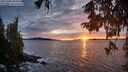 ./images/koeye/fitz-hugh/20251002/fitz-hugh20251002_185501M.jpg