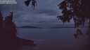 ./images/koeye/fitz-hugh/20251003/fitz-hugh20251003_070001M.jpg