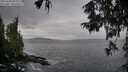 ./images/koeye/fitz-hugh/20251003/fitz-hugh20251003_084001M.jpg