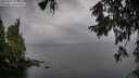./images/koeye/fitz-hugh/20251003/fitz-hugh20251003_103502M.jpg