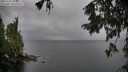 ./images/koeye/fitz-hugh/20251003/fitz-hugh20251003_104501M.jpg