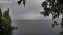 ./images/koeye/fitz-hugh/20251003/fitz-hugh20251003_105001M.jpg