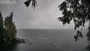 ./images/koeye/fitz-hugh/20251003/fitz-hugh20251003_105501M.jpg