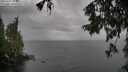 ./images/koeye/fitz-hugh/20251003/fitz-hugh20251003_110501M.jpg