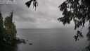 ./images/koeye/fitz-hugh/20251003/fitz-hugh20251003_111001M.jpg