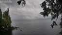 ./images/koeye/fitz-hugh/20251003/fitz-hugh20251003_111501M.jpg