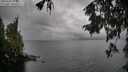 ./images/koeye/fitz-hugh/20251003/fitz-hugh20251003_112001M.jpg