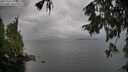 ./images/koeye/fitz-hugh/20251003/fitz-hugh20251003_113001M.jpg