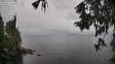 ./images/koeye/fitz-hugh/20251003/fitz-hugh20251003_114501M.jpg