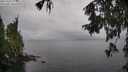./images/koeye/fitz-hugh/20251003/fitz-hugh20251003_115001M.jpg