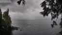 ./images/koeye/fitz-hugh/20251003/fitz-hugh20251003_121502M.jpg