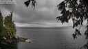 ./images/koeye/fitz-hugh/20251003/fitz-hugh20251003_123501M.jpg