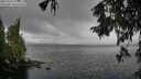 ./images/koeye/fitz-hugh/20251003/fitz-hugh20251003_124001M.jpg