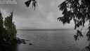 ./images/koeye/fitz-hugh/20251003/fitz-hugh20251003_124501M.jpg