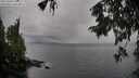 ./images/koeye/fitz-hugh/20251003/fitz-hugh20251003_125501M.jpg