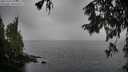 ./images/koeye/fitz-hugh/20251003/fitz-hugh20251003_133001M.jpg