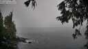 ./images/koeye/fitz-hugh/20251003/fitz-hugh20251003_134001M.jpg