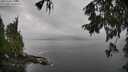./images/koeye/fitz-hugh/20251003/fitz-hugh20251003_140501M.jpg