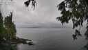 ./images/koeye/fitz-hugh/20251003/fitz-hugh20251003_141001M.jpg
