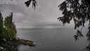 ./images/koeye/fitz-hugh/20251003/fitz-hugh20251003_143001M.jpg