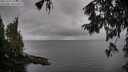 ./images/koeye/fitz-hugh/20251003/fitz-hugh20251003_143501M.jpg