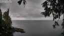 ./images/koeye/fitz-hugh/20251003/fitz-hugh20251003_144001M.jpg