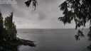 ./images/koeye/fitz-hugh/20251003/fitz-hugh20251003_144501M.jpg