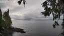 ./images/koeye/fitz-hugh/20251003/fitz-hugh20251003_152001M.jpg
