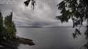./images/koeye/fitz-hugh/20251003/fitz-hugh20251003_154501M.jpg