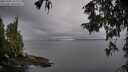 ./images/koeye/fitz-hugh/20251003/fitz-hugh20251003_161501M.jpg