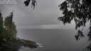 ./images/koeye/fitz-hugh/20251003/fitz-hugh20251003_164501M.jpg