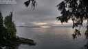 ./images/koeye/fitz-hugh/20251003/fitz-hugh20251003_181501M.jpg