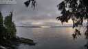 ./images/koeye/fitz-hugh/20251003/fitz-hugh20251003_182001M.jpg