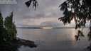 ./images/koeye/fitz-hugh/20251003/fitz-hugh20251003_182501M.jpg