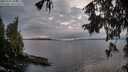 ./images/koeye/fitz-hugh/20251003/fitz-hugh20251003_185501M.jpg