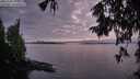 ./images/koeye/fitz-hugh/20251003/fitz-hugh20251003_192001M.jpg
