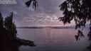 ./images/koeye/fitz-hugh/20251003/fitz-hugh20251003_193001M.jpg