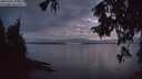 ./images/koeye/fitz-hugh/20251003/fitz-hugh20251003_194001M.jpg