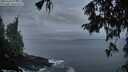./images/koeye/fitz-hugh/20251004/fitz-hugh20251004_072001M.jpg