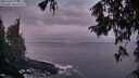 ./images/koeye/fitz-hugh/20251004/fitz-hugh20251004_072501M.jpg