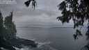 ./images/koeye/fitz-hugh/20251004/fitz-hugh20251004_073001M.jpg